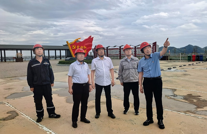 杜平到富平公司督导检查环保和安全工作